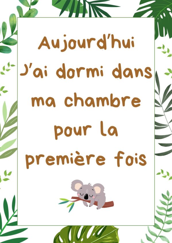 Cartes étapes jungle – Image 5