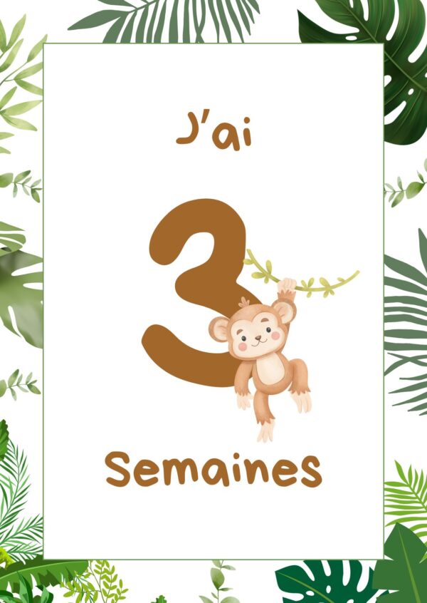 Cartes étapes jungle – Image 3