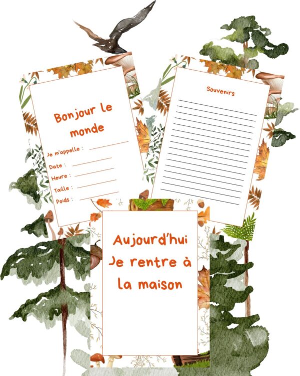 Cartes étapes forêt – Image 7