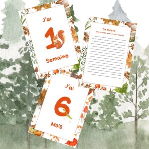 Cartes étapes forêt