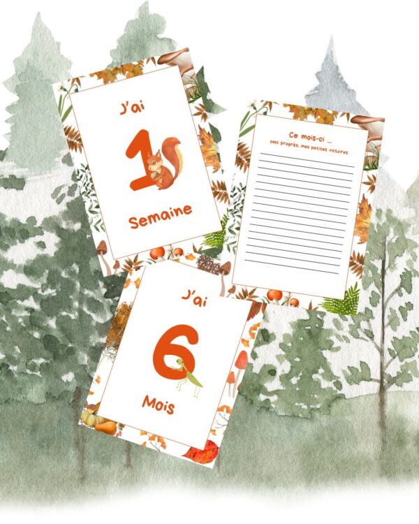 Cartes étapes forêt
