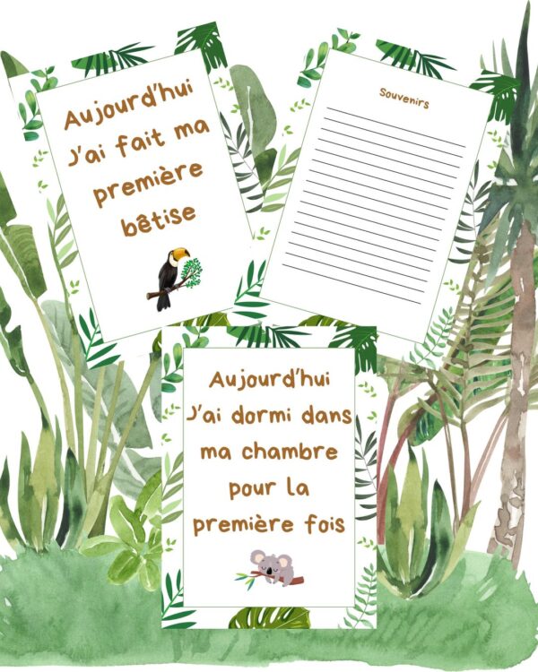 Cartes étapes jungle – Image 2
