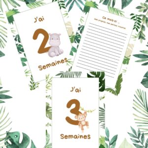 Cartes étapes jungle
