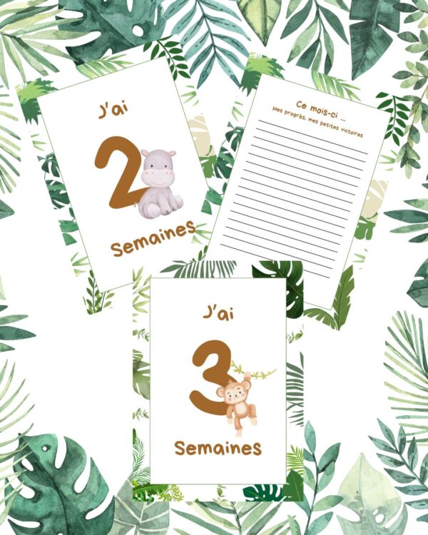 Cartes étapes jungle